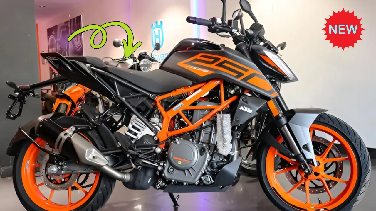 KTM Duke 250 Electric